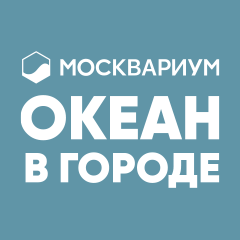 Логотип