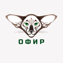 Логотип