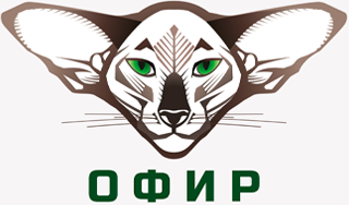 Логотип 