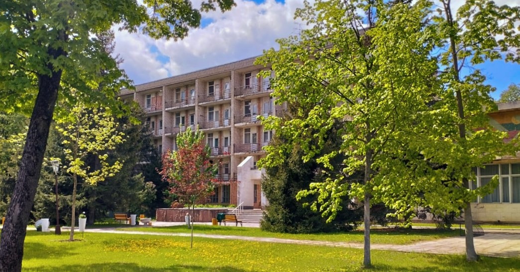 Лесной дворик