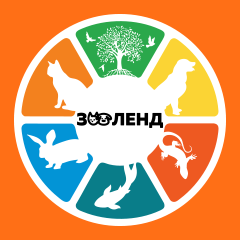 Логотип