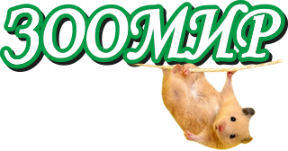 Логотип 